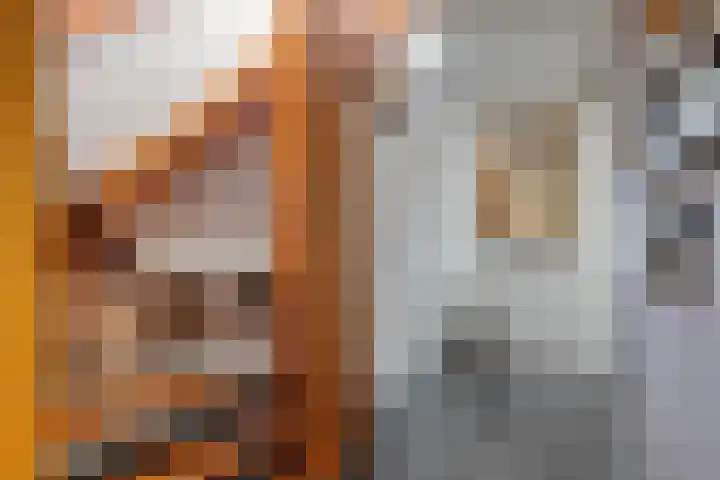 Bronkhorsterweg 3 Steenderen thumbnail 28