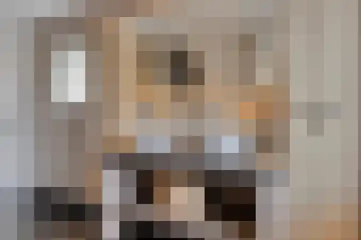 Bronkhorsterweg 3 Steenderen thumbnail 32