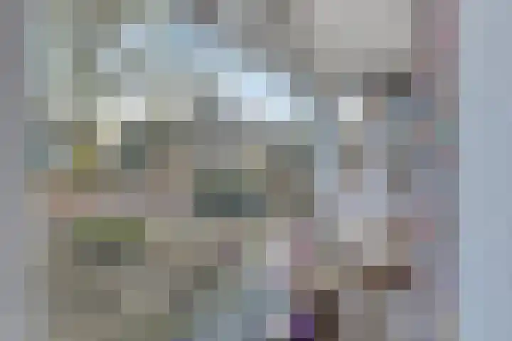 Bronkhorsterweg 3 Steenderen thumbnail 36