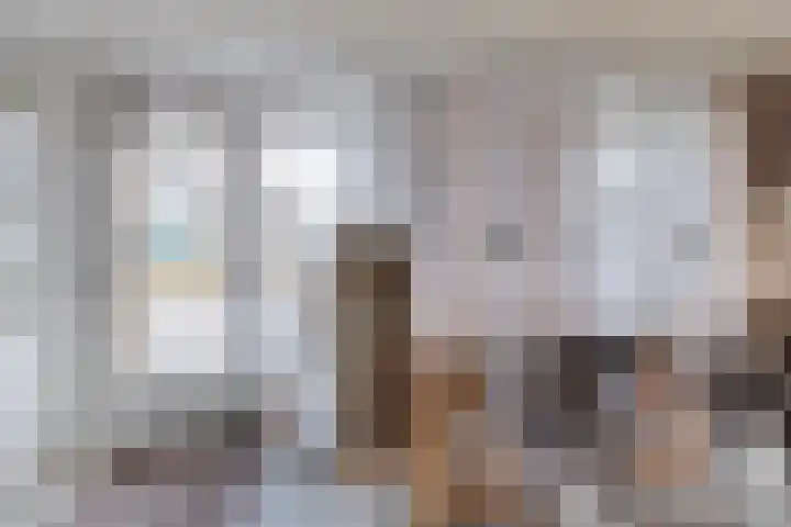 Bronkhorsterweg 3 Steenderen thumbnail 37
