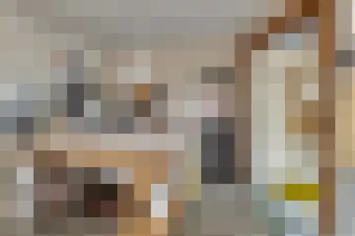 Bronkhorsterweg 3 Steenderen thumbnail 39