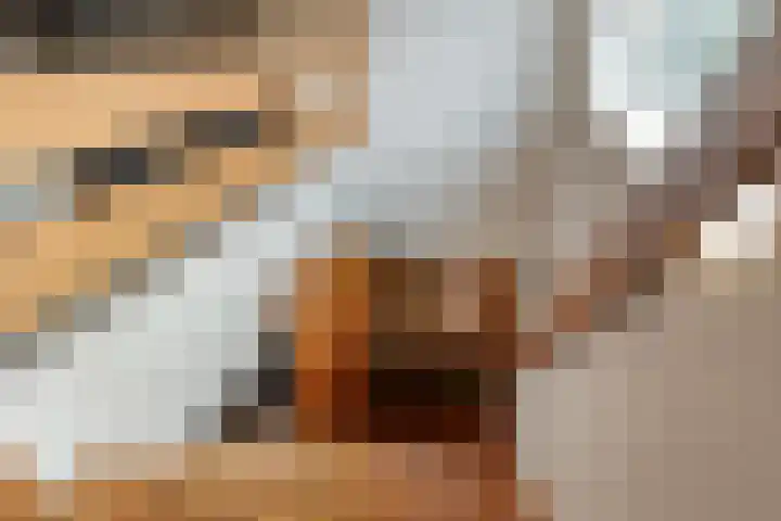 Bronkhorsterweg 3 Steenderen thumbnail 44