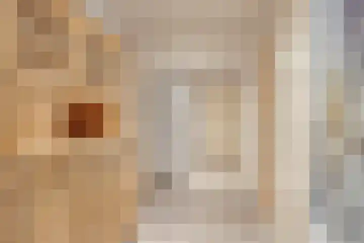 Bronkhorsterweg 3 Steenderen thumbnail 47
