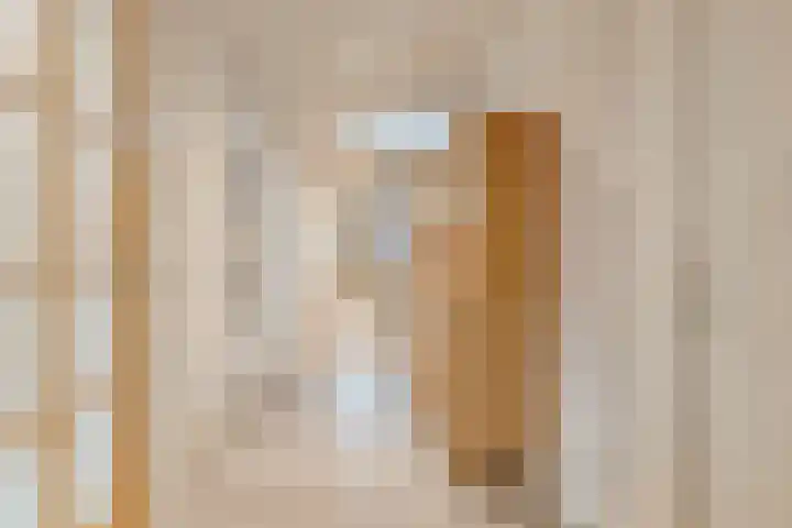 Bronkhorsterweg 3 Steenderen thumbnail 48