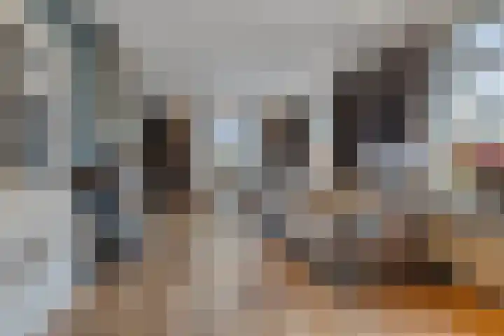 Bronkhorsterweg 3 Steenderen thumbnail 5