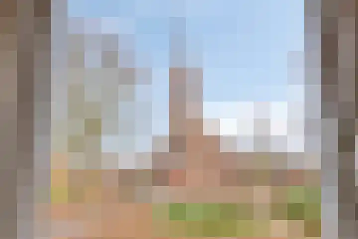 Bronkhorsterweg 3 Steenderen thumbnail 57