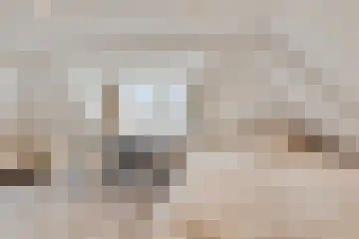 Bronkhorsterweg 3 Steenderen thumbnail 58