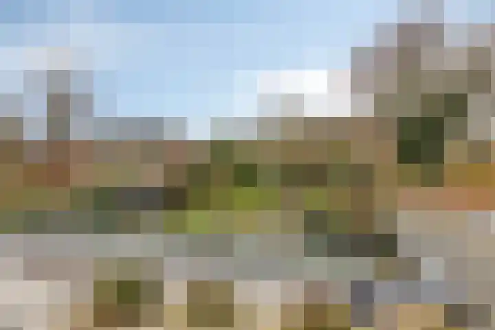Bronkhorsterweg 3 Steenderen thumbnail 64