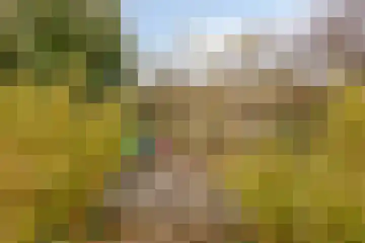 Bronkhorsterweg 3 Steenderen thumbnail 69
