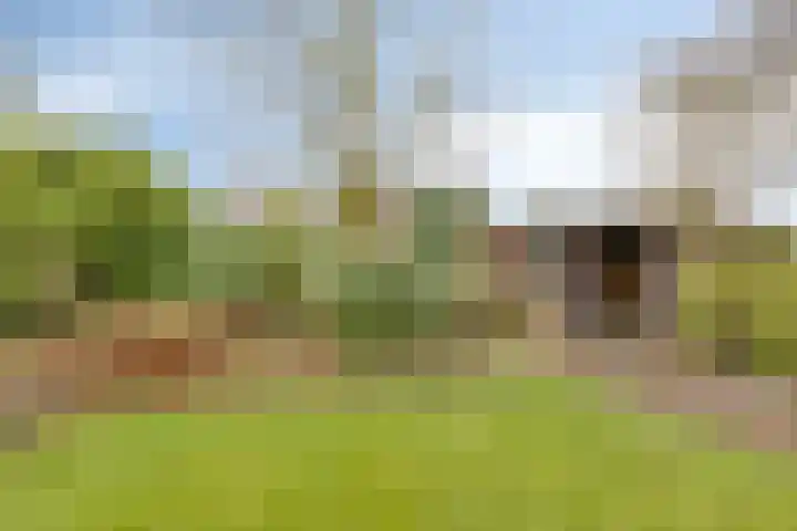 Bronkhorsterweg 3 Steenderen thumbnail 70