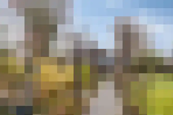 Bronkhorsterweg 3 Steenderen thumbnail 71