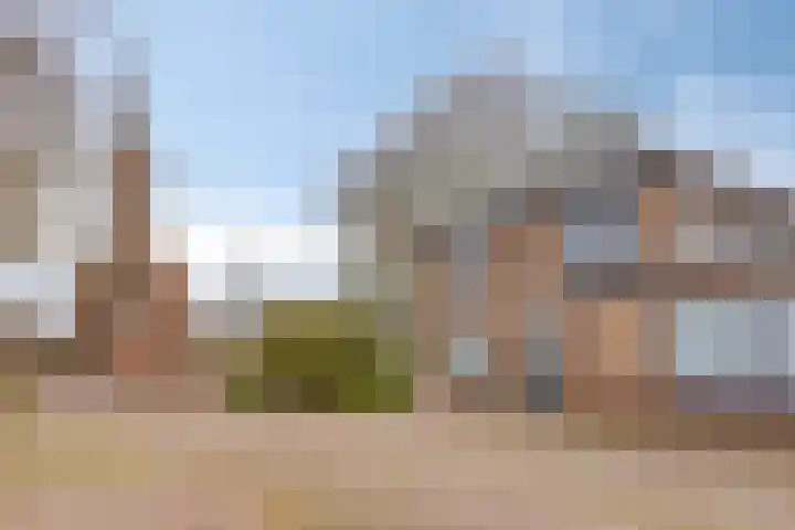 Bronkhorsterweg 3 Steenderen thumbnail 85