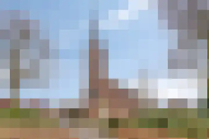 Bronkhorsterweg 3 Steenderen thumbnail 86