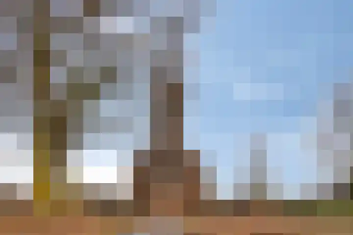 Bronkhorsterweg 3 Steenderen thumbnail 87