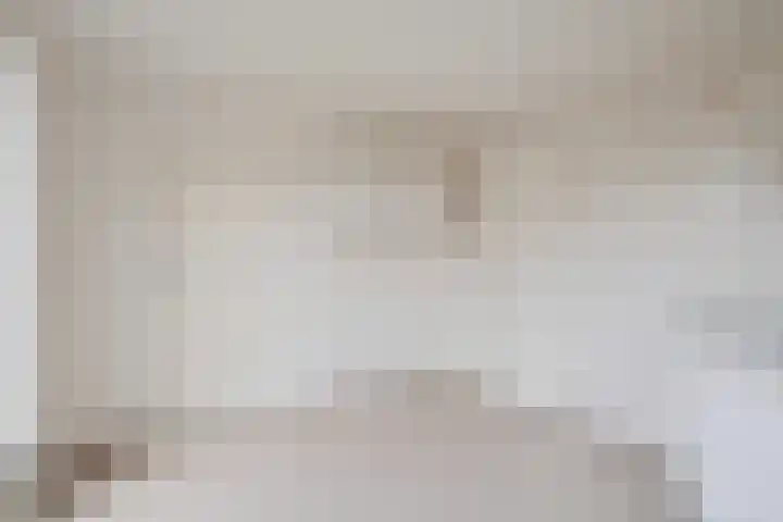Bronkhorsterweg 49 Steenderen thumbnail 12