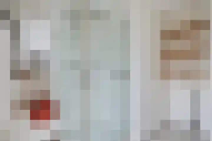 Bronkhorsterweg 49 Steenderen thumbnail 13