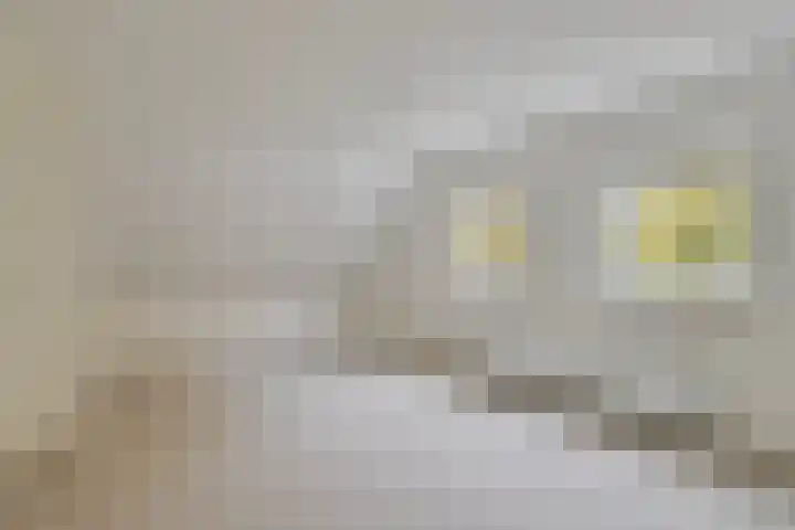Bronkhorsterweg 49 Steenderen thumbnail 17