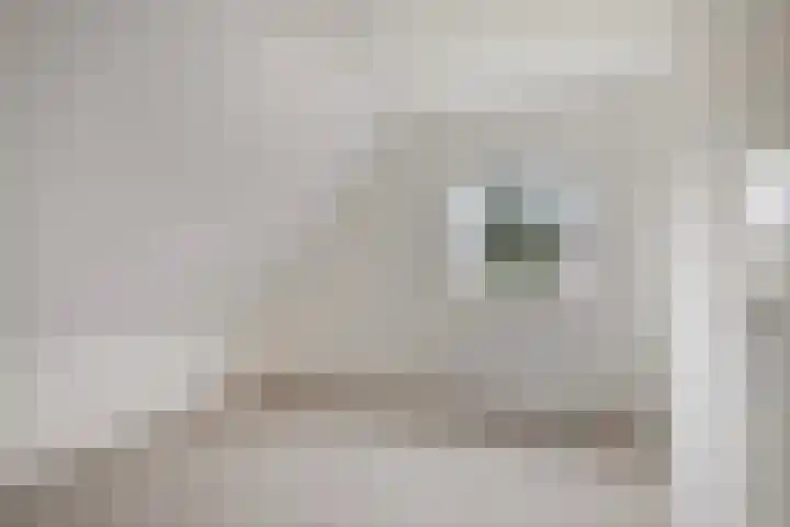 Bronkhorsterweg 49 Steenderen thumbnail 24