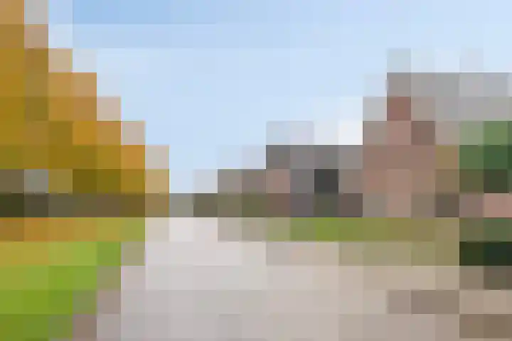 Bronkhorsterweg 49 Steenderen thumbnail 26
