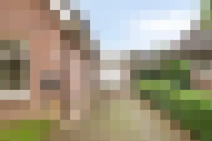 Bronkhorsterweg 49 Steenderen thumbnail 28