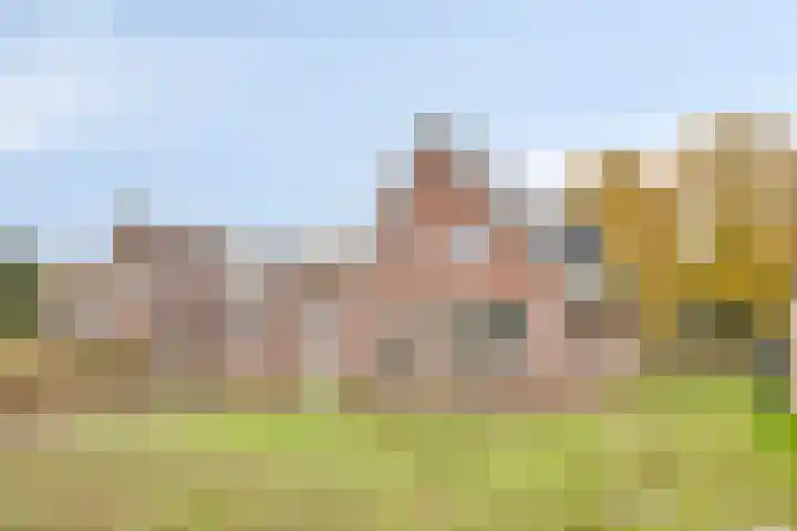 Bronkhorsterweg 49 Steenderen thumbnail 29