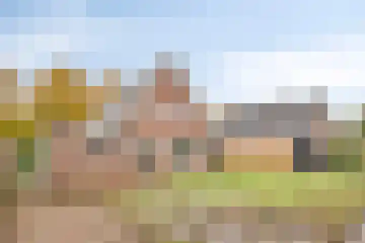 Bronkhorsterweg 49 Steenderen thumbnail 30