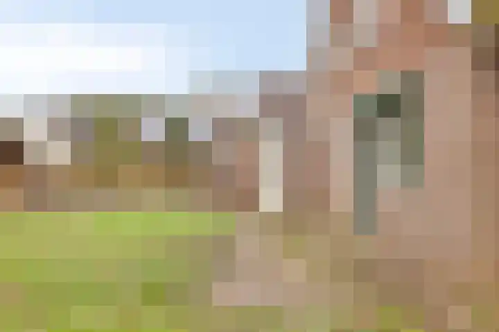 Bronkhorsterweg 49 Steenderen thumbnail 31