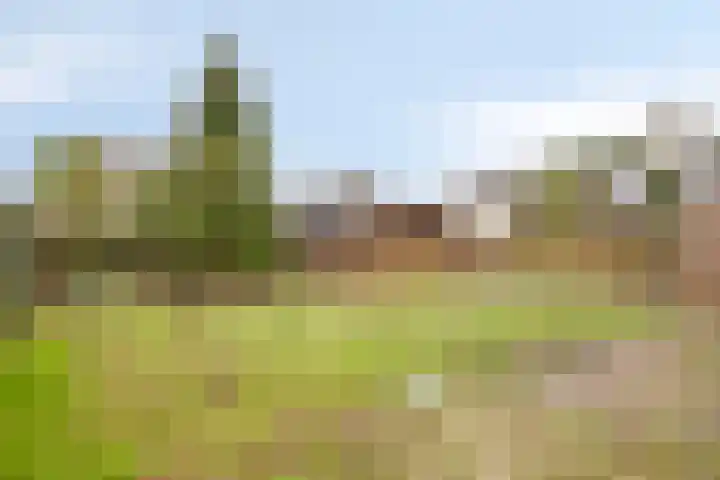 Bronkhorsterweg 49 Steenderen thumbnail 32