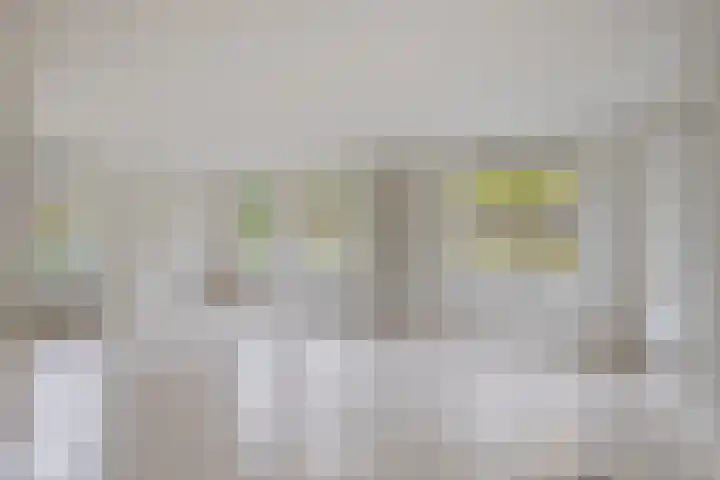 Bronkhorsterweg 49 Steenderen thumbnail 4