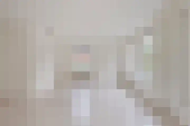 Bronkhorsterweg 49 Steenderen thumbnail 8
