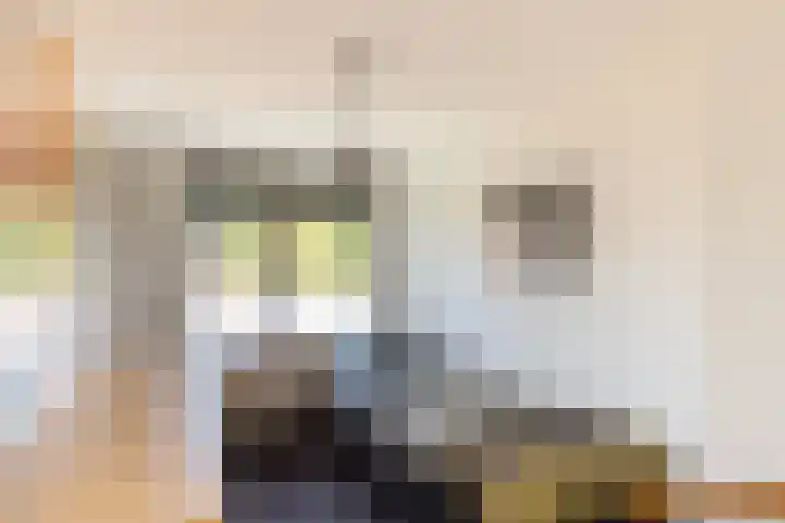 Bronkhorstkamp 15 Eibergen thumbnail 14