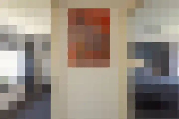 Bronkhorstkamp 15 Eibergen thumbnail 16