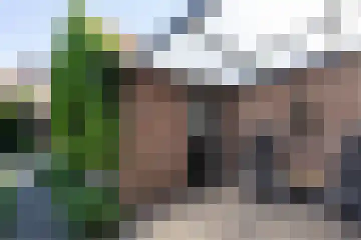 Bronkhorstkamp 15 Eibergen thumbnail 25