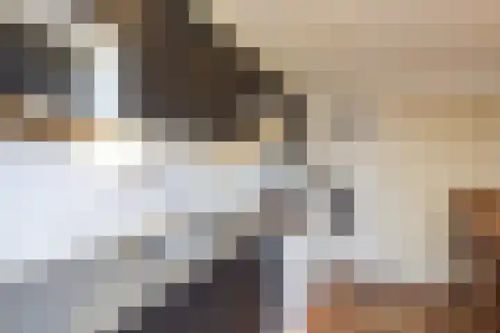 Bronkhorstkamp 15 Eibergen thumbnail 9