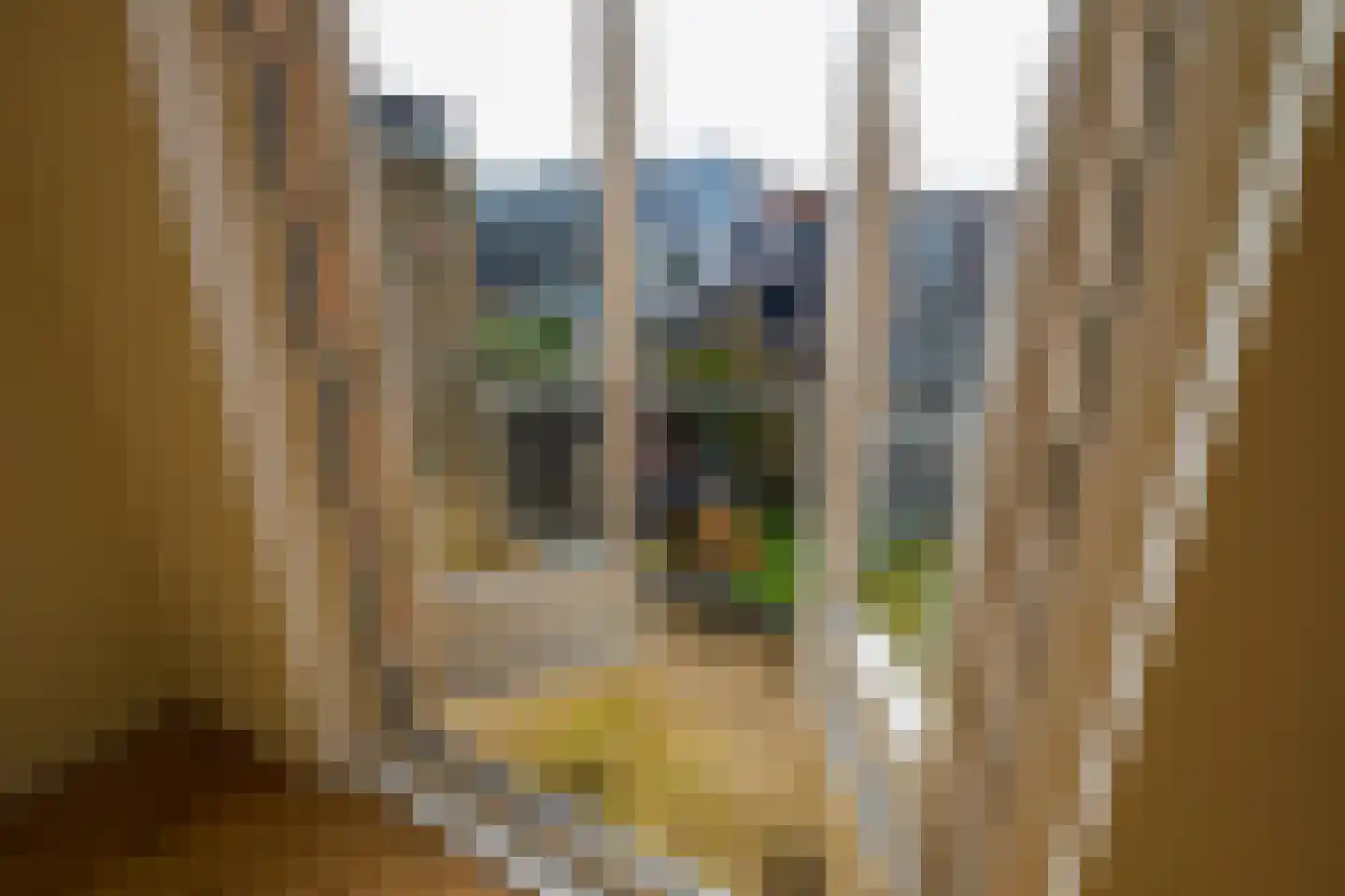 Bronkhorststraat 19 A Leiden thumbnail 5