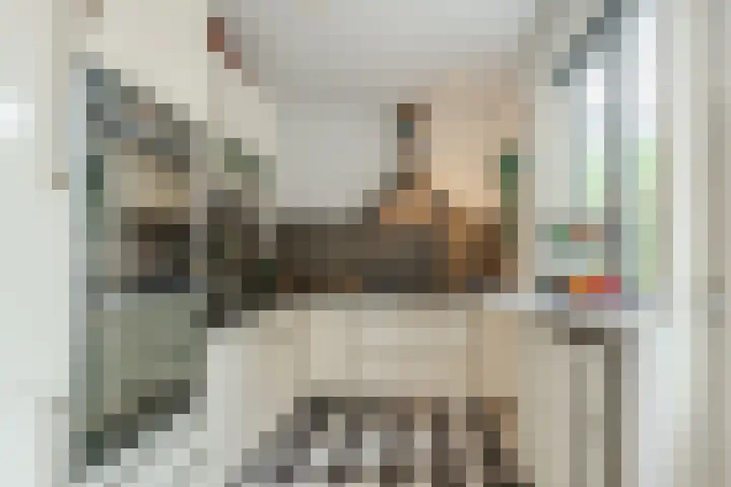Bronkhorststraat 25 Leiden thumbnail 13
