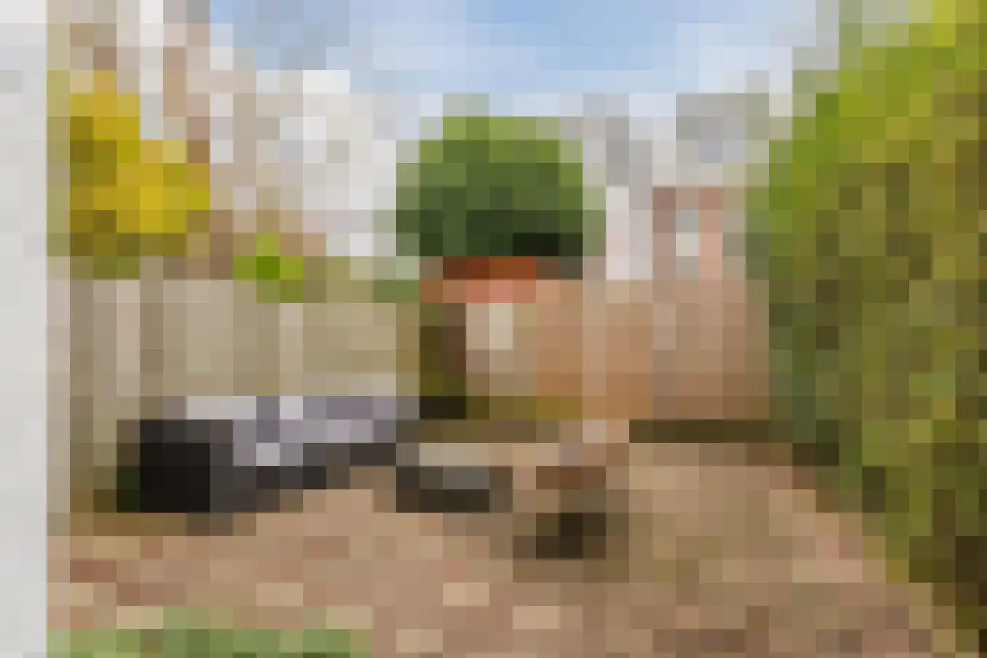 Bronkhorststraat 25 Leiden thumbnail 36