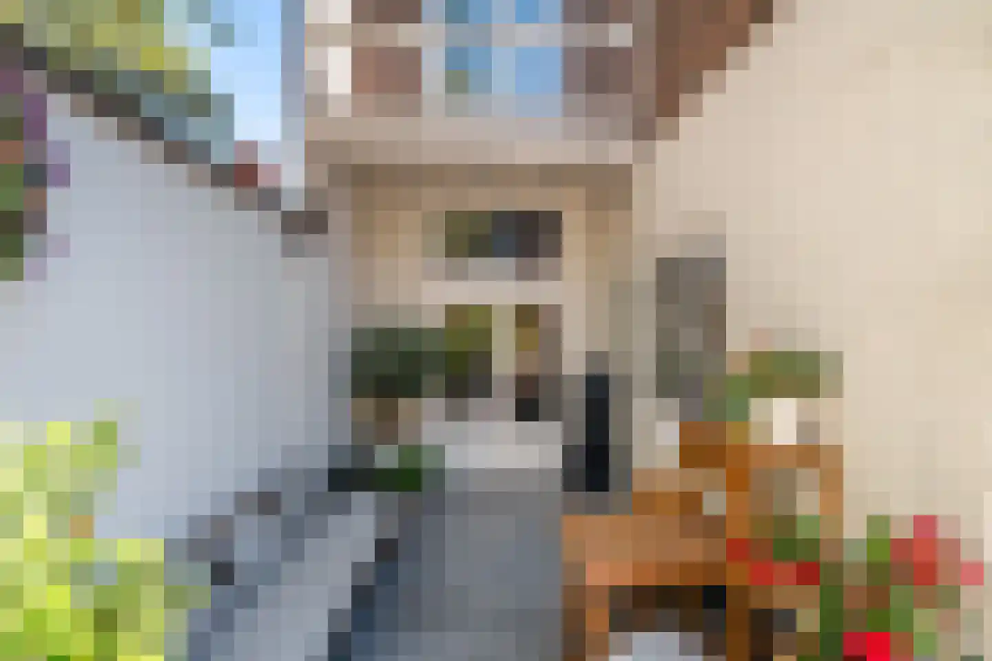Bronkhorststraat 59 Leiden thumbnail 19