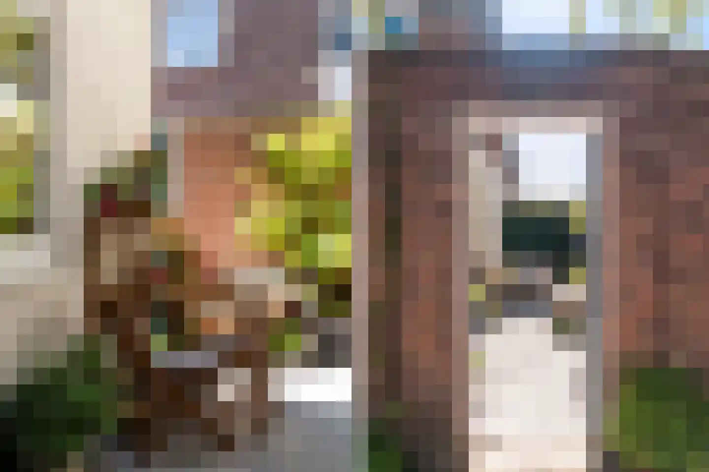 Bronkhorststraat 59 Leiden thumbnail 22