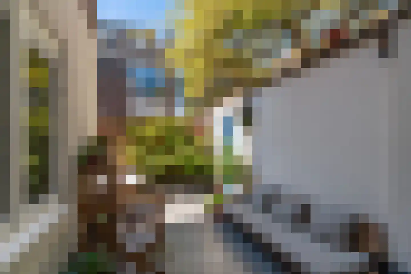 Bronkhorststraat 59 Leiden thumbnail 4