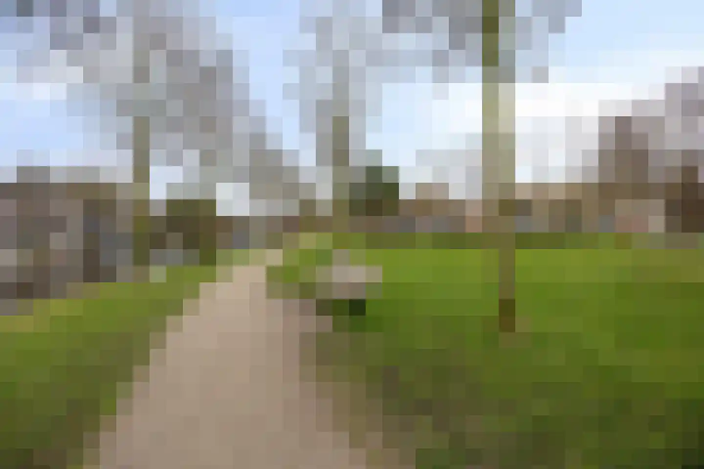 Bronkhorststraat 7 B Leiden thumbnail 16