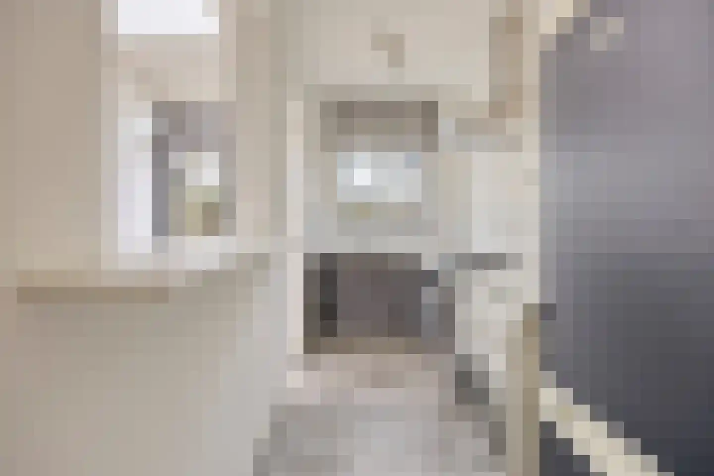 Bronkhorststraat 7 Leiden thumbnail 12