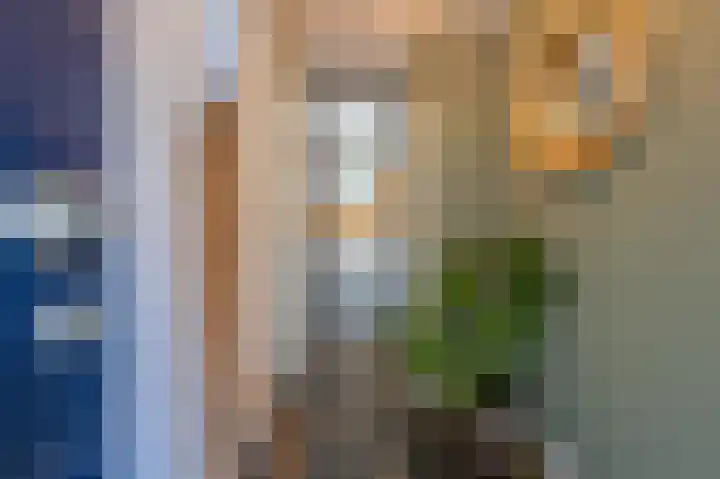 Bronkhorsttoren 2 Buren thumbnail 12