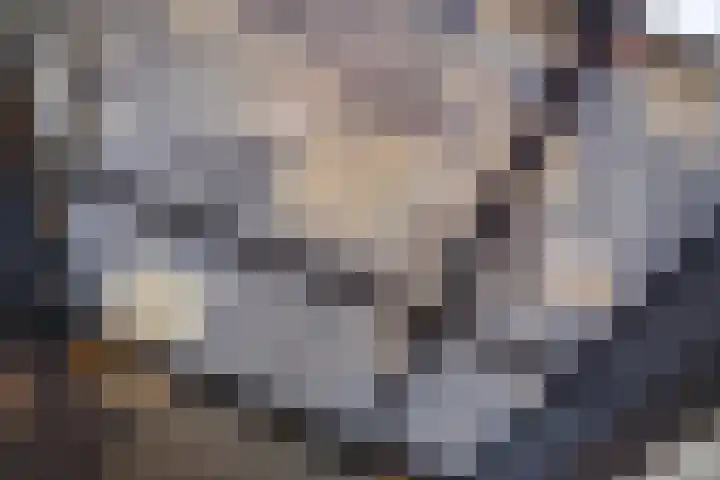 Bronkhorsttoren 2 Buren thumbnail 13