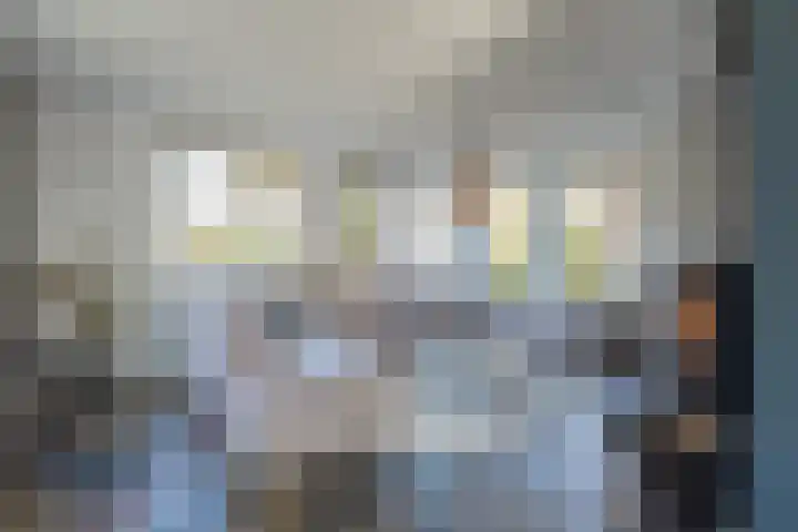 Bronkhorsttoren 2 Buren thumbnail 17