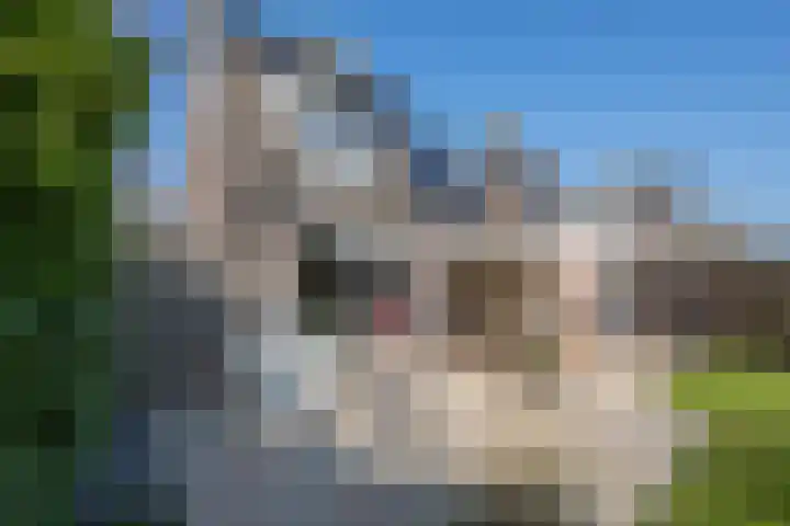 Bronkhorsttoren 2 Buren thumbnail 40