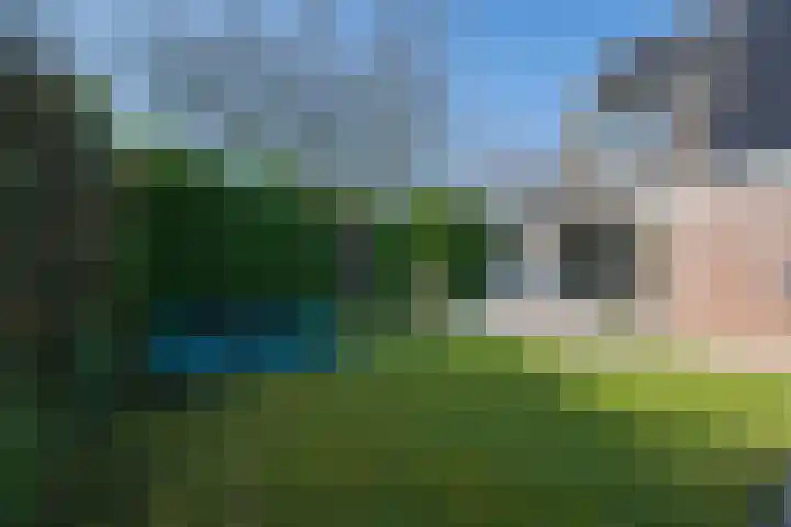 Bronkhorsttoren 2 Buren thumbnail 44