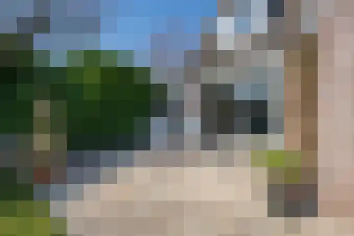 Bronkhorsttoren 2 Buren thumbnail 47