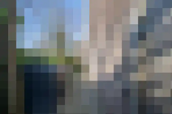 Bronkhorsttoren 2 Buren thumbnail 48