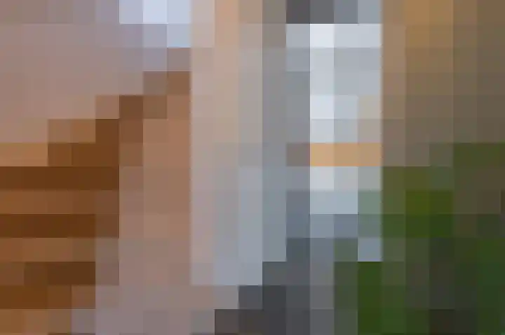 Bronkhorsttoren 2 Buren thumbnail 49